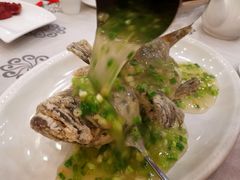 特色葱油飞鱼-岭南海晏楼(东晓南店)