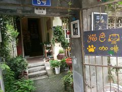 -猫色咖啡·猫咖