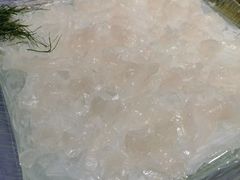 -联邦酒楼