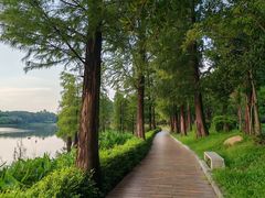 -南国桃园旅游度假区