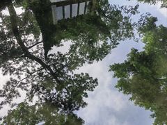-拙政园