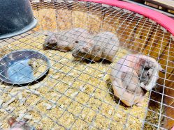 -酷嗒动物文化乐园(cutezoo西溪乐天城店)