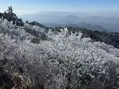 -安吉龙王山风景区