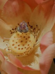 -北京七彩云南翡翠珠宝旗舰店(月坛店)