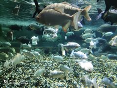 -成都浩海立方海洋公园