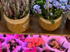 -双季花艺园艺市场(浦东店)