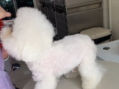 -北京观赏动物医院·24小时大型综合·猫专科·异宠专科