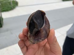 -深圳湾木棉花酒店