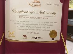 -巴厘岛黄金金兔咖啡工厂