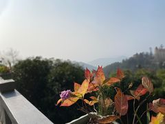 -莫干山风景区