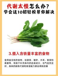 -Fundi张玉珊修身堂·indiba·BTL科技瘦身