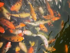 -荆川公园