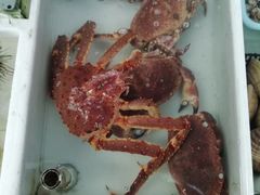 -南沙十九涌渔人码头-南门