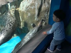 -常州海昌海洋探索馆