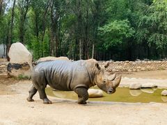 -北京野生动物园