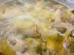 药膳乳鸽-百利鸽王(紫薇路店)