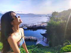 -鼓浪屿钢琴博物馆