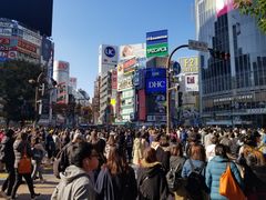 -涩谷区