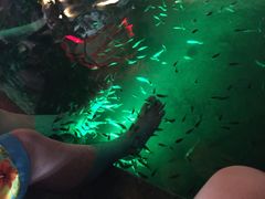 -宝丽金大酒店·洗浴中心