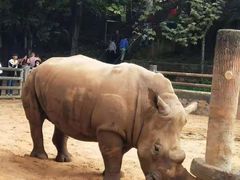 -昆明动物园