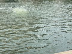 -DGE季风钓虾营地·团建·聚会