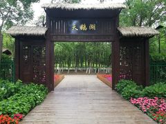 -艾溪湖湿地公园