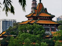-顺峰山公园