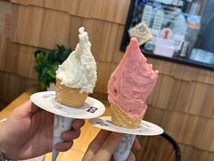 -野人先生现做冰淇淋(北京顺义祥云小镇店)