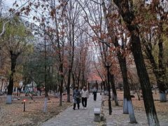 -黑龙江大学