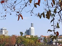 -东莞市可园博物馆