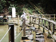 -鼎湖山风景区