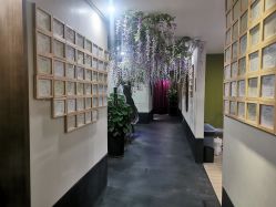 -盘子女人坊生日照·摄影馆(华强店)