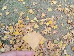-美兰湖景区