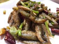 -品雅轩农家乐
