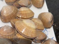 -泰白海鲜烧烤大全