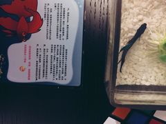-扬州东关街文昌阁桔子水晶酒店