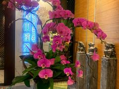 -璞·澐间影院式足道SPA(尚悦湾店)