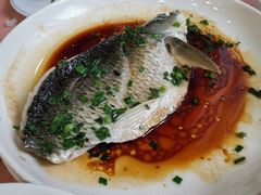 清蒸冷水鲩鱼无污染-小辣椒(华富店)