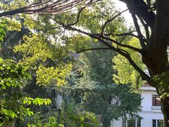 -申粤轩酒楼·三十年粤菜经典(丁香花园店)
