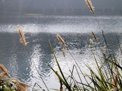 -重庆彩云湖湿地公园