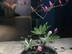 -蜀宴·家宴馆(升伟晶石店)