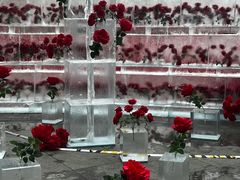 -万达广场(龙湖店)