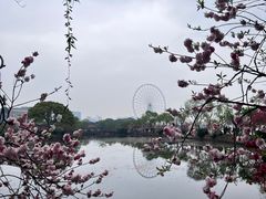 -无锡蠡湖国家湿地公园-蠡园