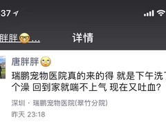 -瑞鹏宠物医院·微创内窥镜·骨外科·牙科(翠竹分院)