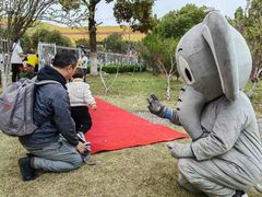 -上海松江区迪笙幼儿园