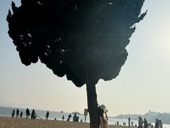-青岛第一海水浴场