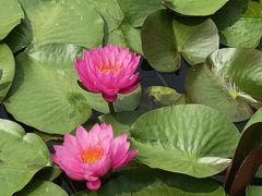 -玄武湖景区-情侣园游乐场