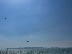 -大连金石滩国家旅游度假区