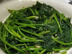 -大树头森林餐厅(番禺广场店)