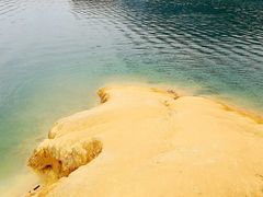 -广州市流溪河国家森林公园